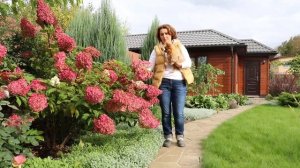 Сад Людмилы Кудасовой, выпуск 1: гортензии