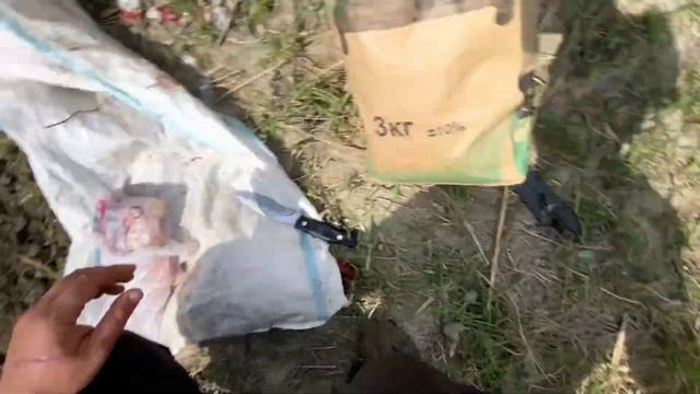 Рыбалка Кизляр сазан на нересте смотреть онлайн
