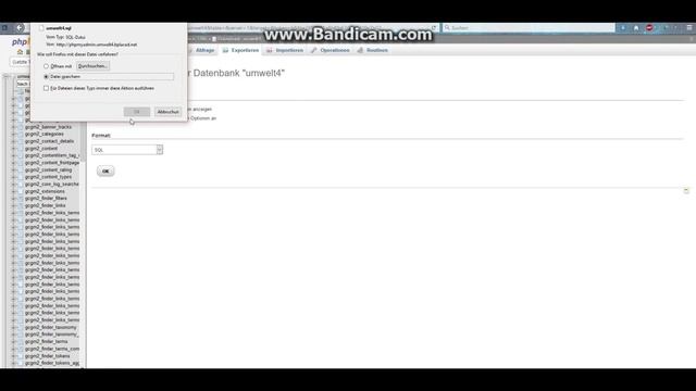 MySQL Datenbank sichern (Joomla) - Backup erstellen смотреть онлайн