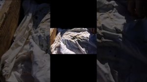 подкормка пчел весной сахарным сиропом подкормка пчел в март