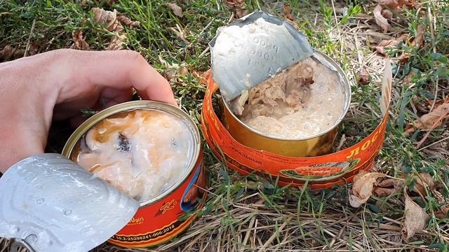 НА СОВЕТСКОМ ВЕЛОСИПЕДЕ К МОРЮ! (800 км) смотреть онлайн