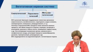 Гистология нервной системы. Часть 1