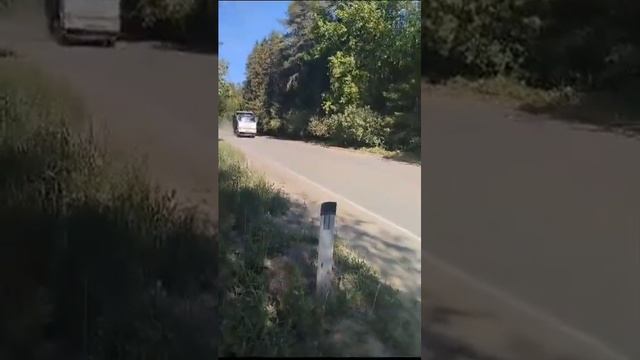 Как вы проводите лето? Жители деревни Тарайка Ленинградской области этим летом задыхаются в пыли смотреть онлайн