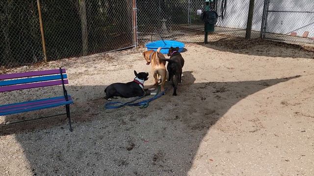 samara, Sonny Koufax, and Ace смотреть онлайн