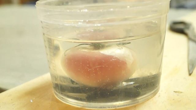 Залили помидор эпоксидной смолой.(Filled the tomato with epoxy resin.) смотреть онлайн