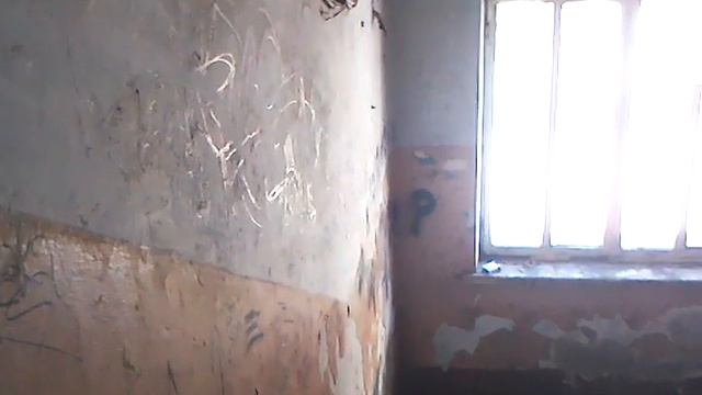 как живут люди....сами срем,сами ссым...