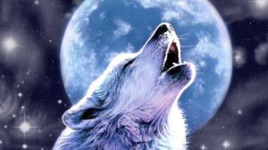 МОЛИТВА ВОЛКА - ИСЦЕЛЕНИЕ. ДАРЮ ВСЕМ. ВЕДЬМИНА ИЗБА ▶️ ИНГА ХОСРОЕВА.