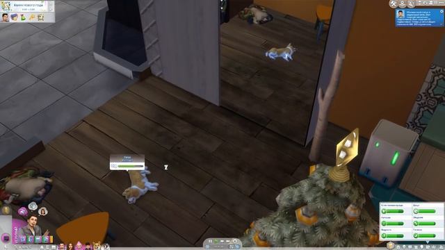 ДАША И БРЕЙН: ПУТЬ К СЛАВЕ - НОВЫЙ ГОД! - The Sims 4 смотреть онлайн