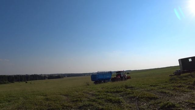 КИРОВЕЦ К-525, КИРОВЕЦ К-739, ПС-15 ЯРОСЛАВИЧ. Заготовка силоса. смотреть онлайн