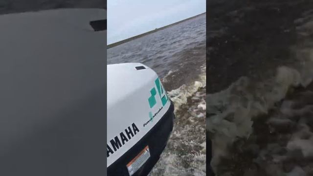 Ямаха 4 и Лодка Навигатор 290 смотреть онлайн
