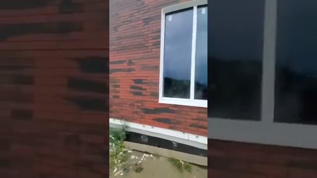 отзывы наших клиентов