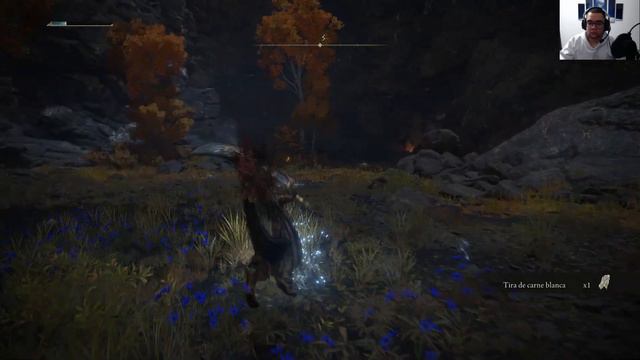 Elden Ring COMPLETE Playthrough # 16, Godfrey, Margit & More re skins смотреть онлайн