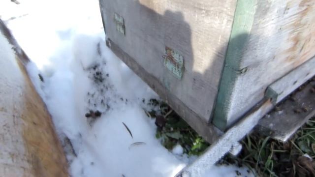 ОТКАПЫВАЕМ УЛЕЙ ЛЕЖАК ИЗ ПОД СНЕГА. КАРНИКА В СУГРОБЕ СНЕГА ОТ А ДО Я 2018 года???. смотреть онлайн