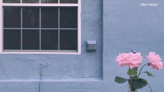 Bea Miller - Brand New Eyes (Tradução)