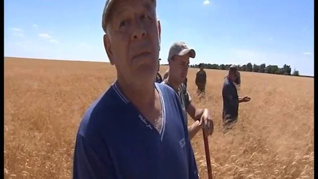 Воровство зерна с полей в АО "Равнинное" смотреть онлайн