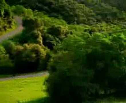 K-fee Commercial #1 смотреть онлайн