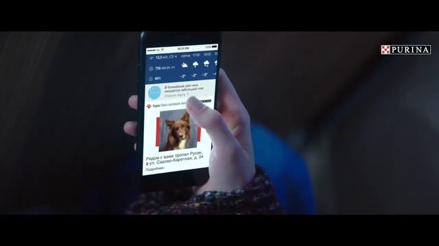 Purina Яндекс 2018 смотреть онлайн