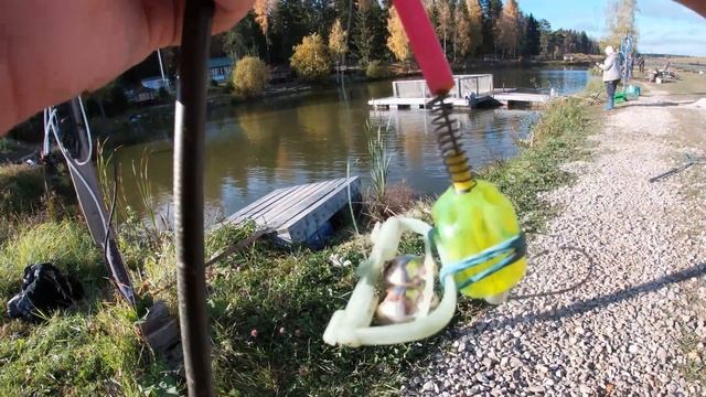 ЗАМЕЧАТЕЛЬНО ОТКРЫЛ СЕЗОН ПО ЛОВЛЕ ФОРЕЛИ НА СПИННИНГ И ПАСТУ|14.10.22|поймал шуку смотреть онлайн