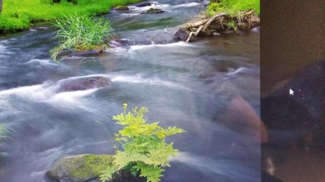 Путешествие по Слову Божьему смотреть онлайн