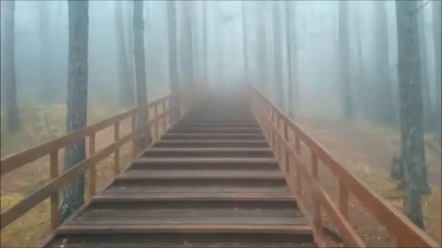 Словно в нескольких жили мирах... смотреть онлайн