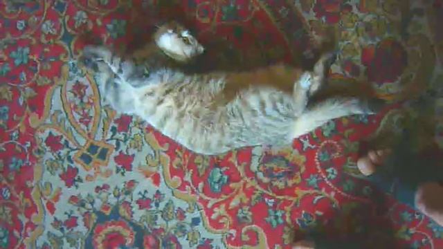 Одалиска смотреть онлайн