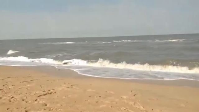 Собираю янтарь пляж Азовского моря #янтарь #АзовскоеМоре #Юг смотреть онлайн