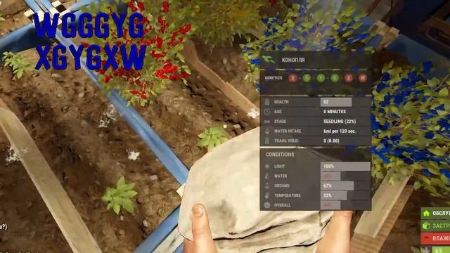 ТОТАЛЬНЫЙ ГАЙД ПО СКРЕЩИВАНИЮ генетика растений RUST смотреть онлайн