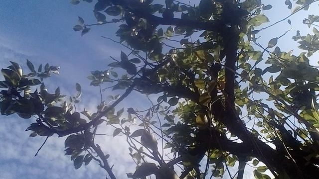 20240906_104525.mp4 смотреть онлайн
