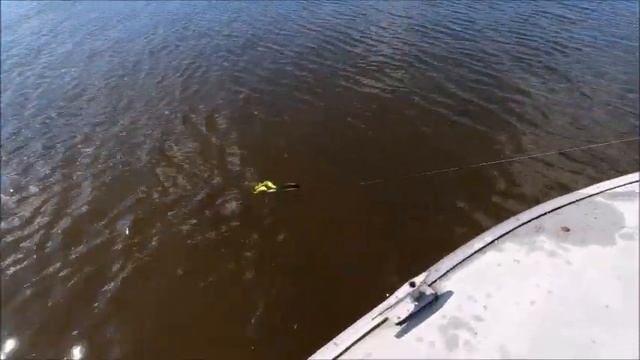 Двухвостая резина Balzer Shirasu Pike Collector , Mann’s Twinler Tail и Abu Garcia Beast Twin Tail