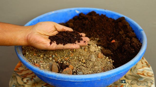 Adenium Plant Cascade In Water Pot Project смотреть онлайн