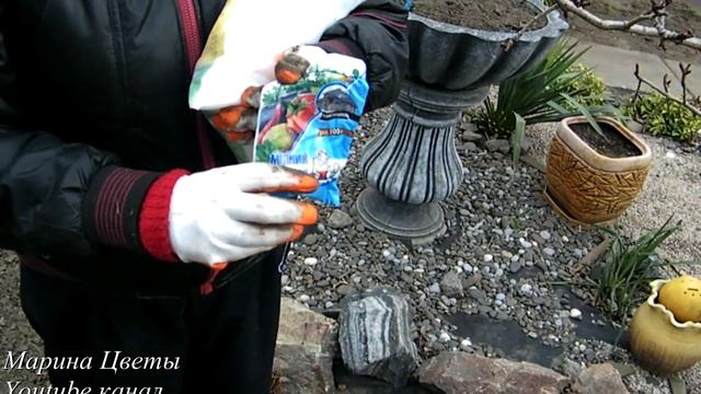 Задерживаем цветение плодово ягодных деревьев для защиты от весенних заморозков смотреть онлайн