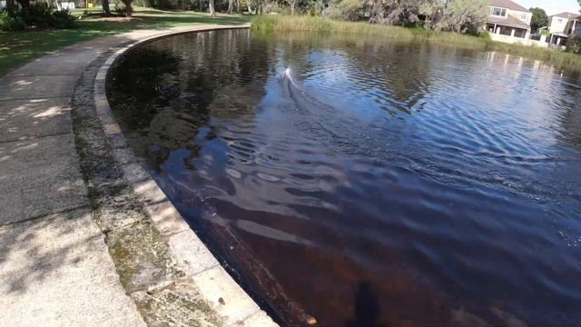 HJ806 35kph RC Speedboat With Front & Rear LED Lights!