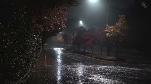 Тихий дождь на уединенных окраинных дорогах, белый шум, подходящий для преодоления бессонницы