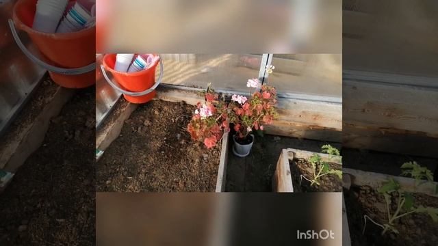 Наша дача май 2019 смотреть онлайн