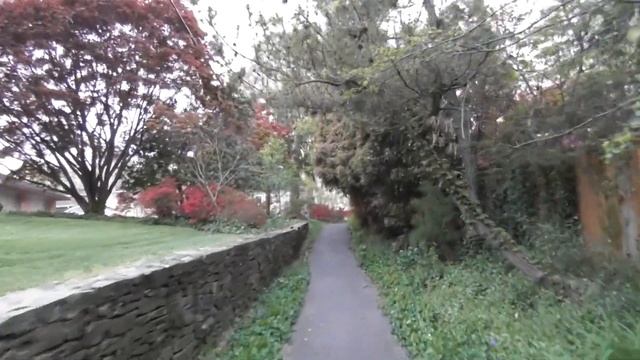 ninebot s1 panasonic hc-v380 test run смотреть онлайн