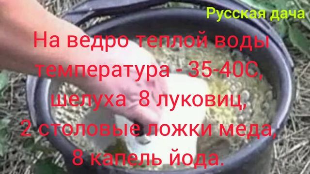 КАБАЧКИ ЗАВАЛЯТ УРОЖАЕМ! НАРОДНОЕ СРЕДСТВО! КАК ВЫРАСТИТЬ БОЛЬШОЙ УРОЖАЙ. смотреть онлайн