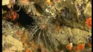 караоке о Боге - За любовь, за милость, за спасенье