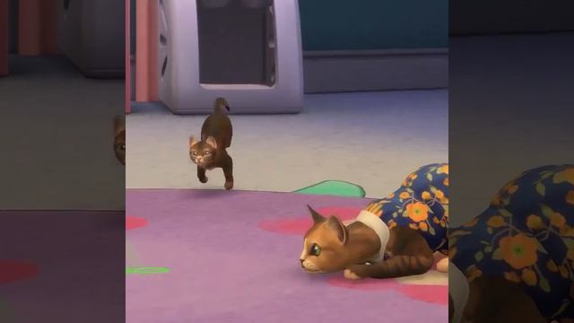 EA Announces The Sims 4 "My First Pet Stuff" смотреть онлайн