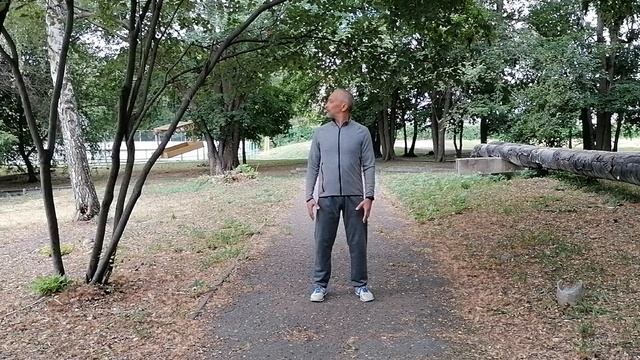 Восемь кусков парчи, Ба Дуань Цзин, Eight Pieces Of Brocade,《八段锦》, Цигун