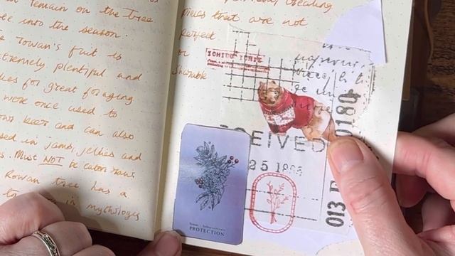 Flip Through of Traveler’s Notebook Insert: The Golden Coast California (Traveler’s Company USA) смотреть онлайн