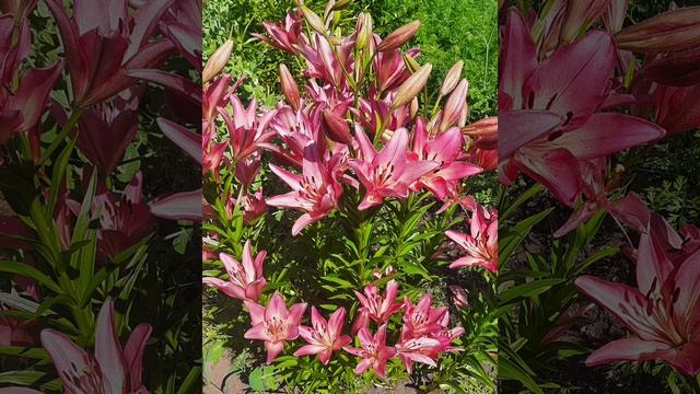 Медитация-фантазия на омоложение тела, исцеление от панических атак.