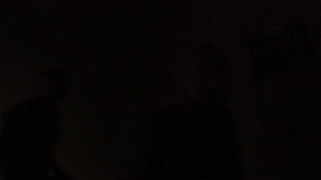 Неделя моей жизни №1: Семья, спорт, работа и воспоминания смотреть онлайн