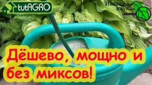 ГОРАЗДО ДЕШЕВЛЕ и НАДЕЖНЕЕ! Покормите свои растения и они будут крепкими и завалят урожаем!
