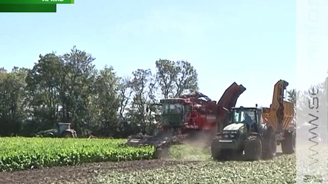 Уборка сельхозкультур в Курской области близится к завершению смотреть онлайн