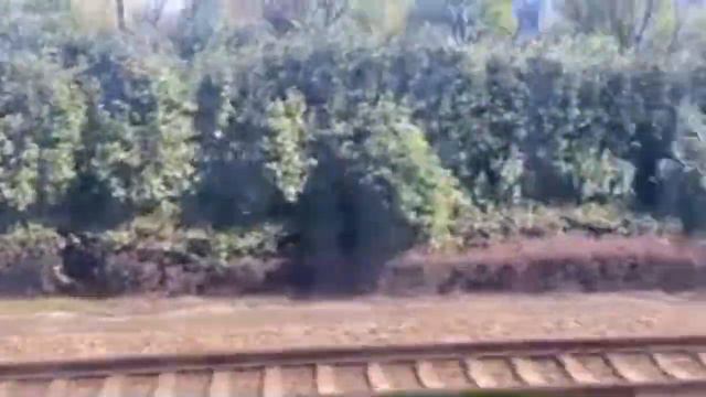 Скоростной поезд в Китае смотреть онлайн