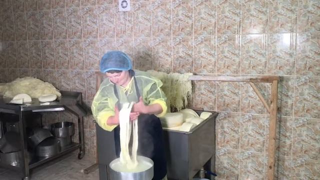 Вегетарианская Кухня