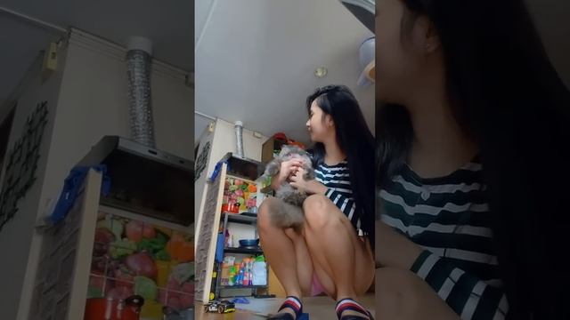 Pano pagselosin Ang aso kong si Yumi? смотреть онлайн
