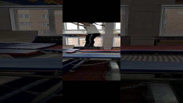 сальто назад на сетку.