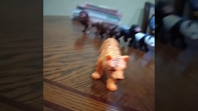 Буйвол против тигра победа? смотреть онлайн