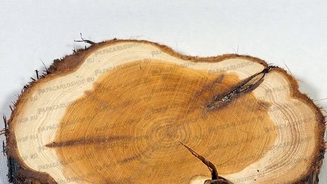 Спилы дерева – можжевельник смотреть онлайн